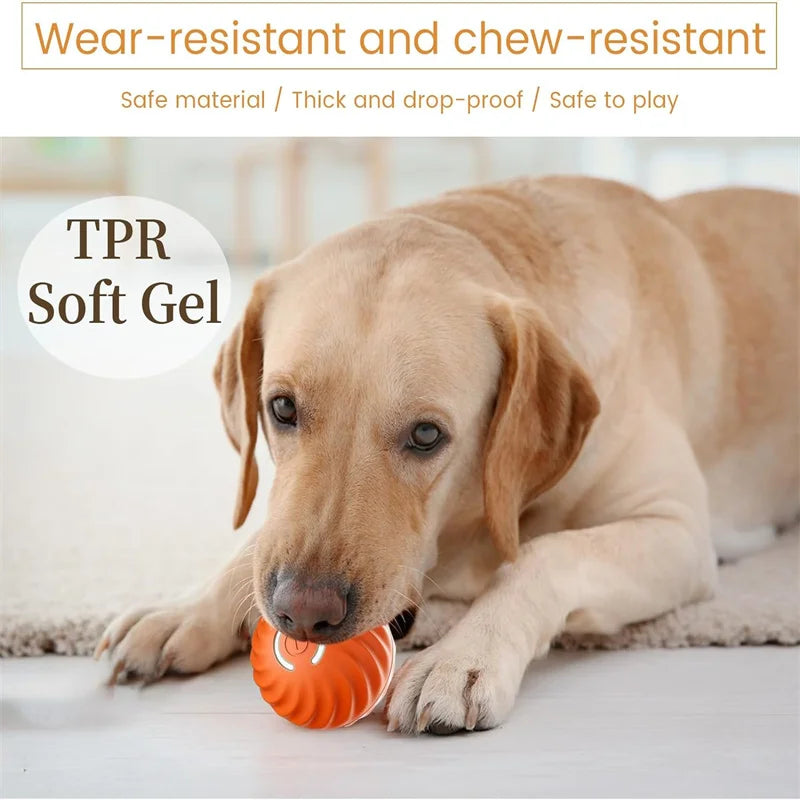 Smart Interactive Jumping Ball β USB Rechargeable Toy for Puppies & Kittens