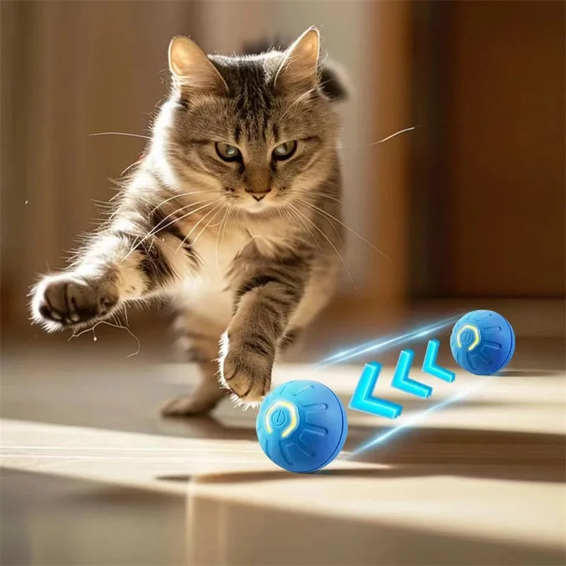 Smart Interactive Jumping Ball β USB Rechargeable Toy for Puppies & Kittens