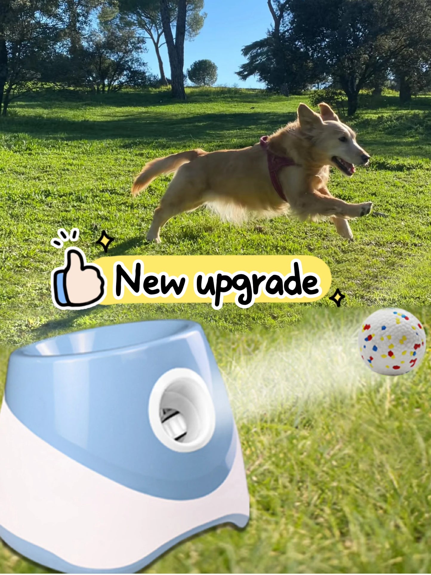 Automatic Dog Ball Launcher β USB Rechargeable Interactive Fetch Machine (Small Dogs Edition)