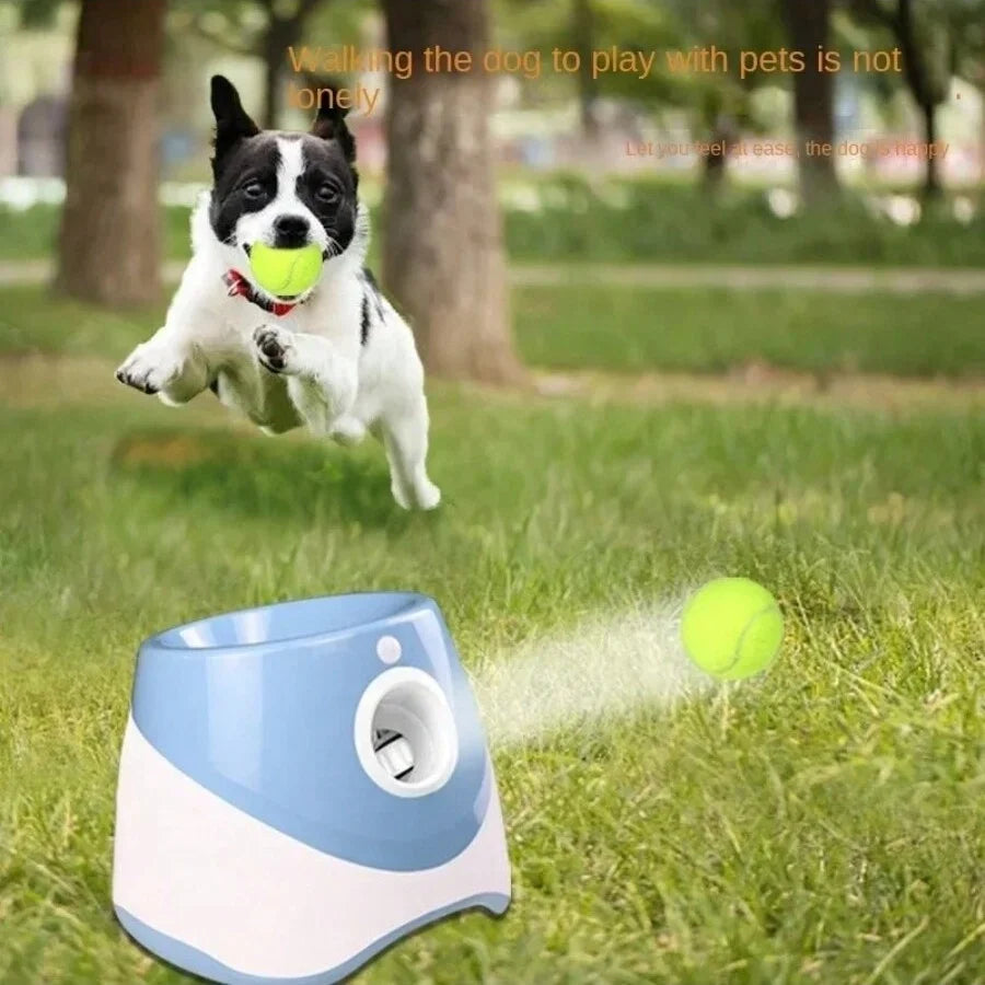 Automatic Dog Ball Launcher β USB Rechargeable Interactive Fetch Machine (Small Dogs Edition)